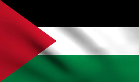 Image of the Palestinian Flag